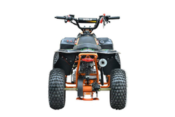 Квадроцикл WELS Tukah 110