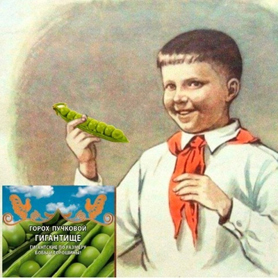 Горох овощной Гигантище
