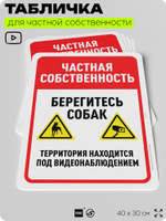 Табличка для частной территории "Частная собственность, берегите собак", на дом, для участка, организаций, предупреждающая, 40х30 см, Silver Plane x Айдентика Технолоджи