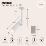 Накладной светильник Maytoni Elti C020CL-01W