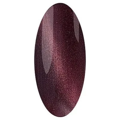 Гель-лак IRISK Cat Eye, 10гр, 17