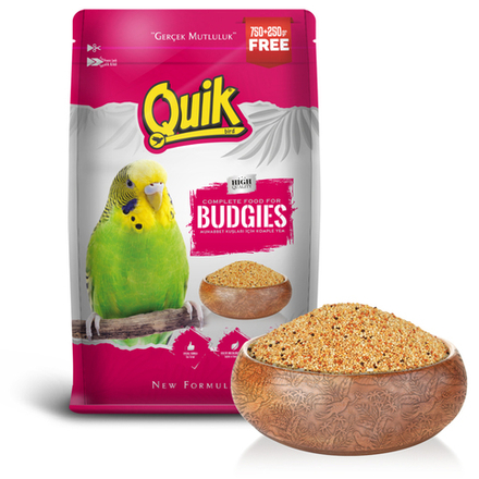 Quik Budgies