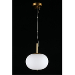 Подвесной светодиодный светильник Aployt Adeli APL.646.06.15