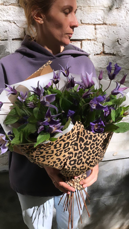 Клематис и Пантеры