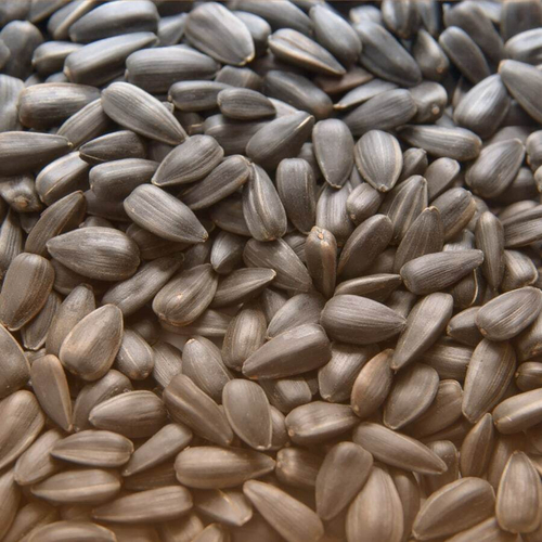 Семечки 3 кг