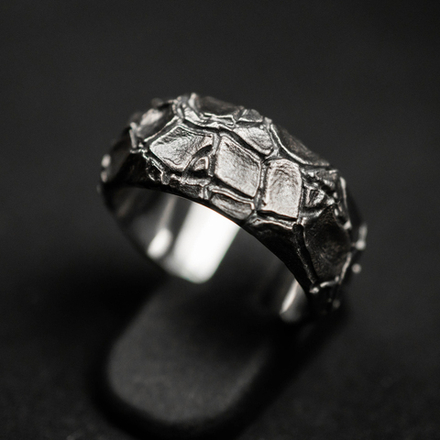 Кольцо "Серебряная пустошь"
