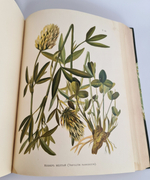 "Иллюстрированная классификация главнейших сортов луговых трав с кратким описанием каждой травы в отдельности". А.Ю.Лашкарев. 1898г. - редкая книга