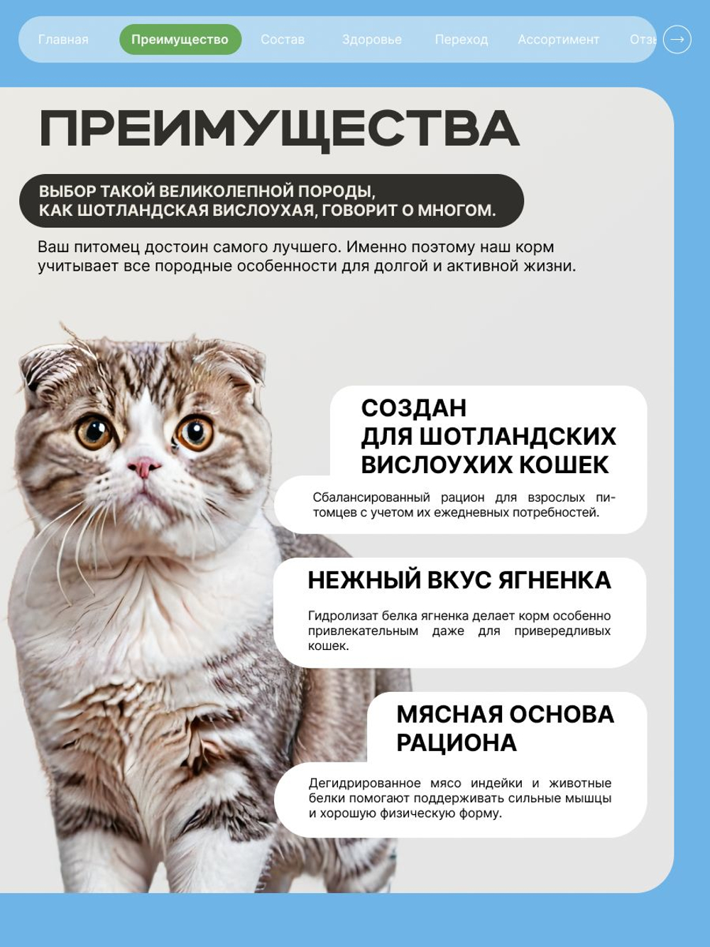 Корм сухой для кошек породы Шотландская вислоухая, с ягненком, 400 гр, QUATTRO