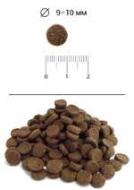 Сухой корм для стерилизованных кошек Blitz Classic Chicken Adult Sterilised Cat All Breeds с курицей, 10 кг