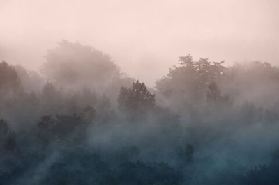 Фреска Applico, коллекция Natura