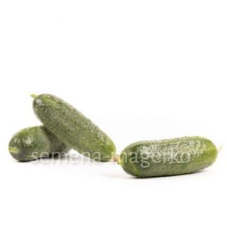Огурец Диез F1 250 (семян)