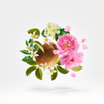 Xerjoff Shooting Stars Oesel Parfum