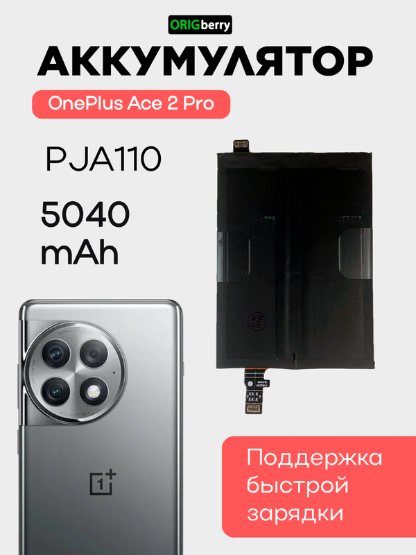 Аккумулятор для OnePlus Ace 2 Pro 5040 mAh (PJA110) (BLPA09)