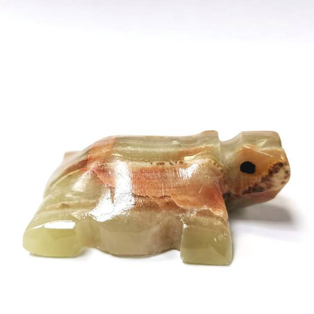 Черепаха оникс пейзажный 570.0