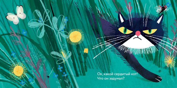 «Эй, Разбойник!»