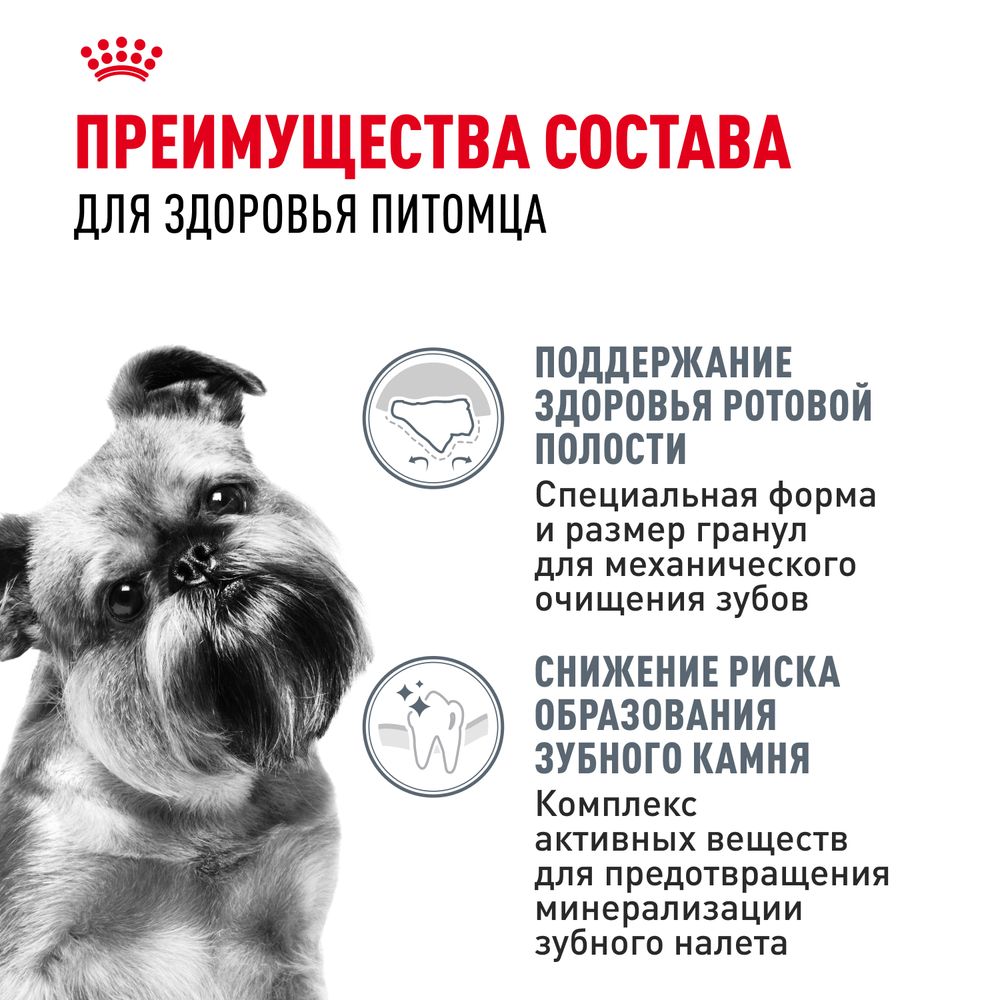 Сухой корм Royal Canin Mini Dental Care для собак мелких размеров, предрасположенных к образованию зубного камня