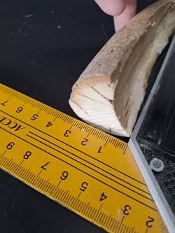 Бивень мамонта для коллекции