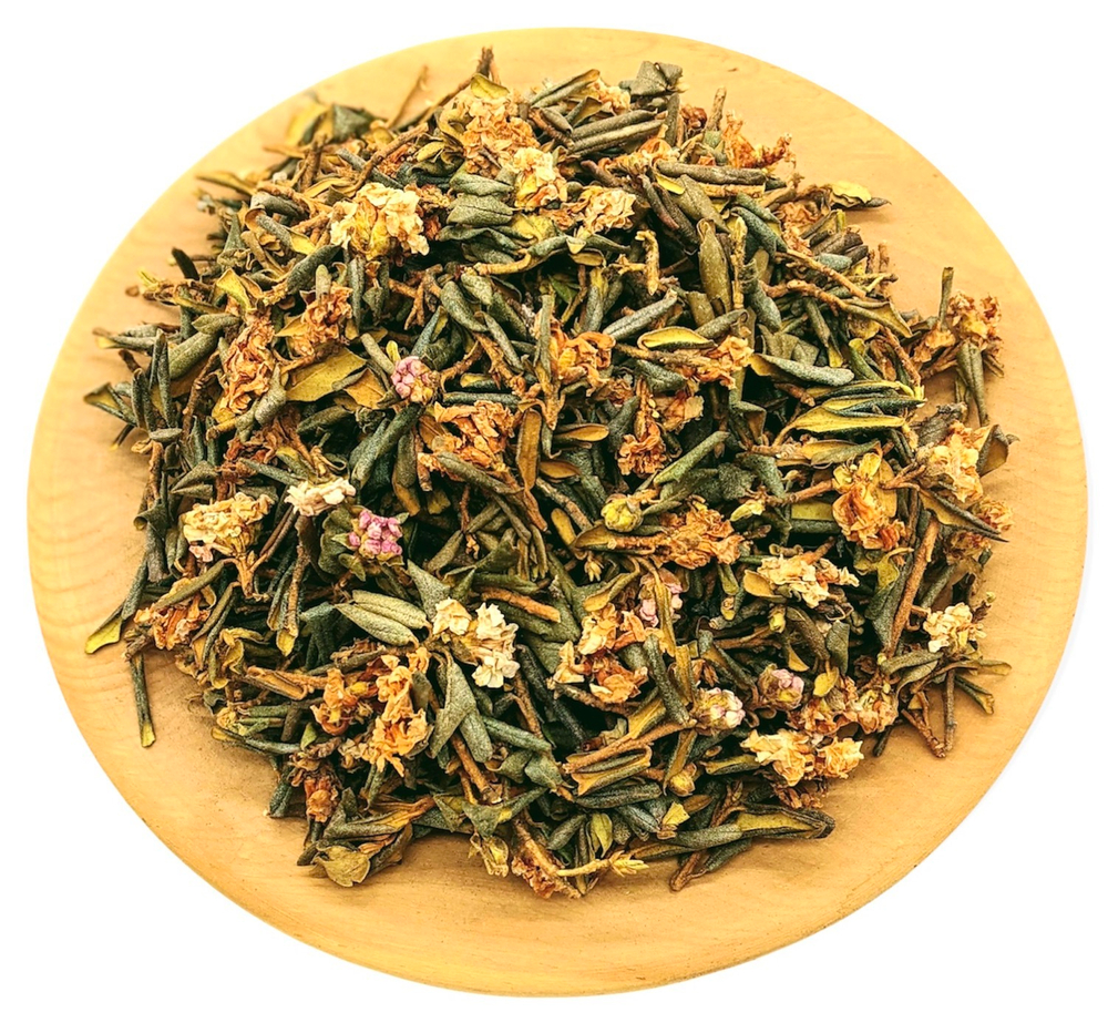 Саган – Дайля (Рододендрон Адамса )