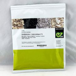 ХАВАНА F1 семена тыквы (Enza Zaden | Alexagro)