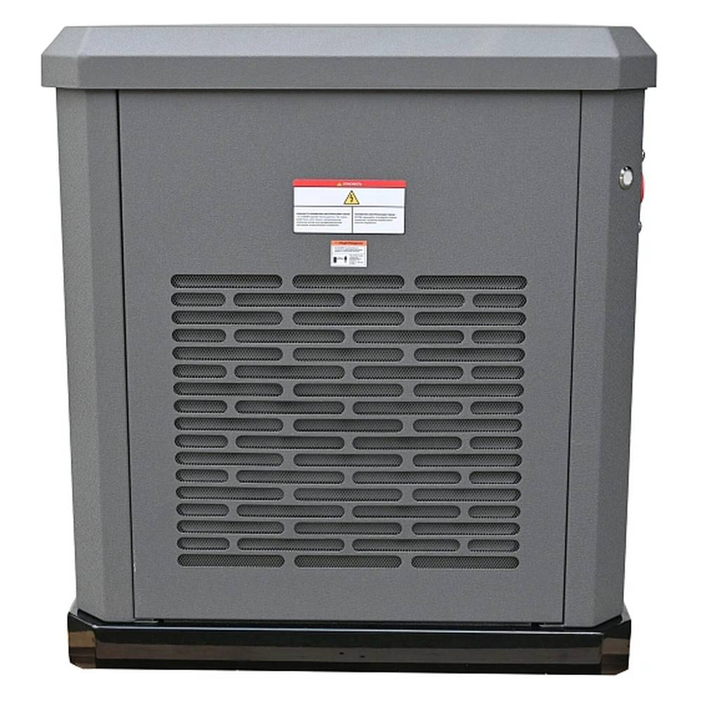 Генератор газовый EVOline GNG 13500 E (адаптированный)