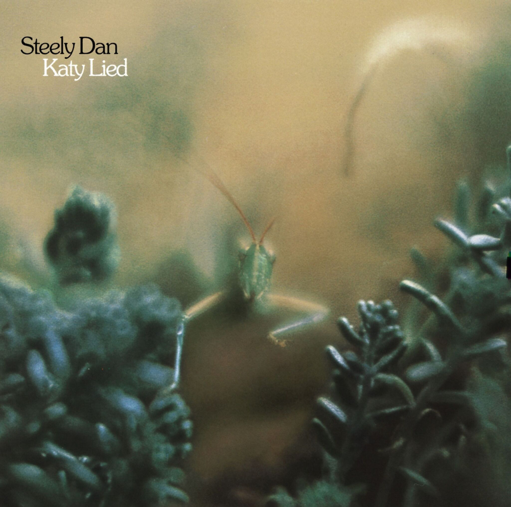 Steely Dan / Katy Lied (LP)