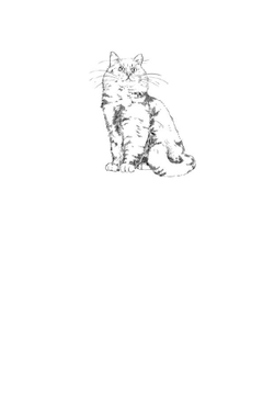 Дневник рыжего. Книга с открыткой