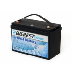 Тяговая аккумуляторная батарея Everest LFP-24V50Аh-PRO + LCD + Bluetooth