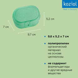 Ланч-бокс pascal, organic, 9,6х5,2х7 см, ярко-зеленый
