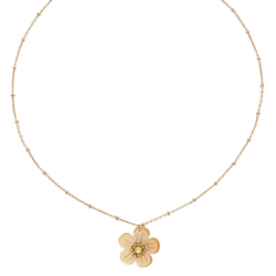 Колье Franck Herval, Goldie, с перламутром и кристаллом, FH26.1-15-64582 (золотистый)