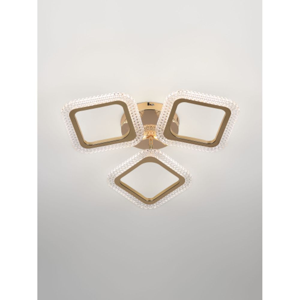 Светильник потолочный светодиодный Rivoli Dorinata 6179-701 LED 48Вт 3000-6000К с пультом | Rivoli