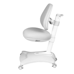 Эргономичное кресло Anatomica Robin Duos