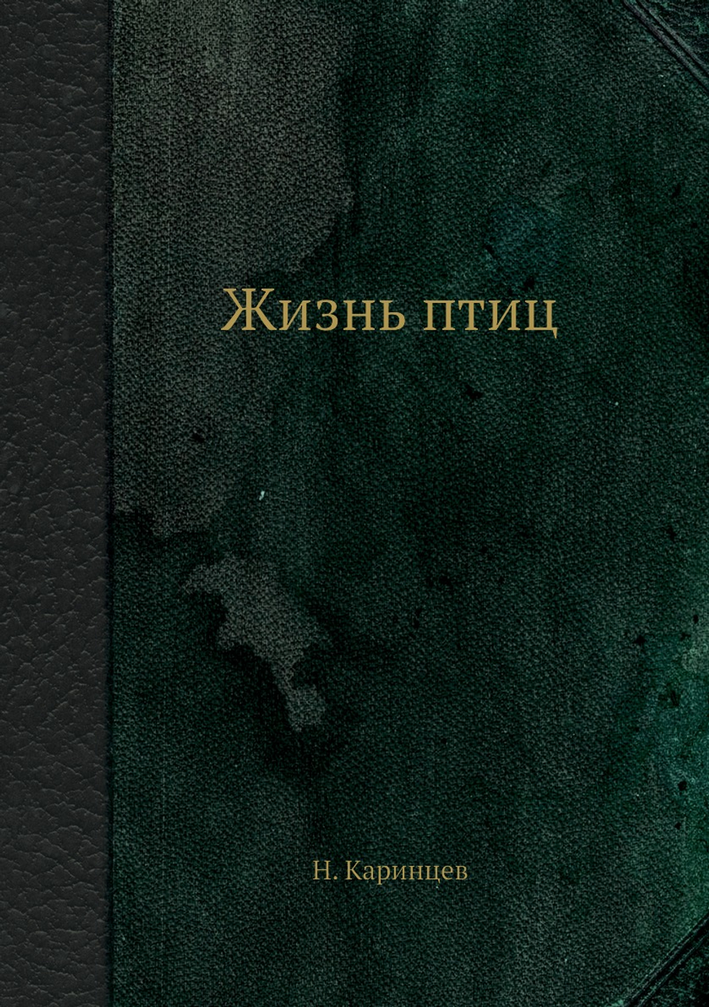 Жизнь птиц | Н. Каринцев