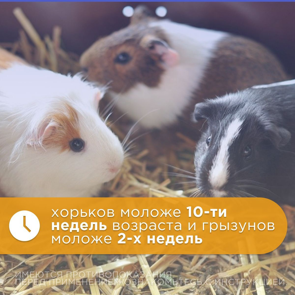 Средство от блох и клещей, власоедов и вшей для грызунов Спрей АВЗ "БАРС" 100мл