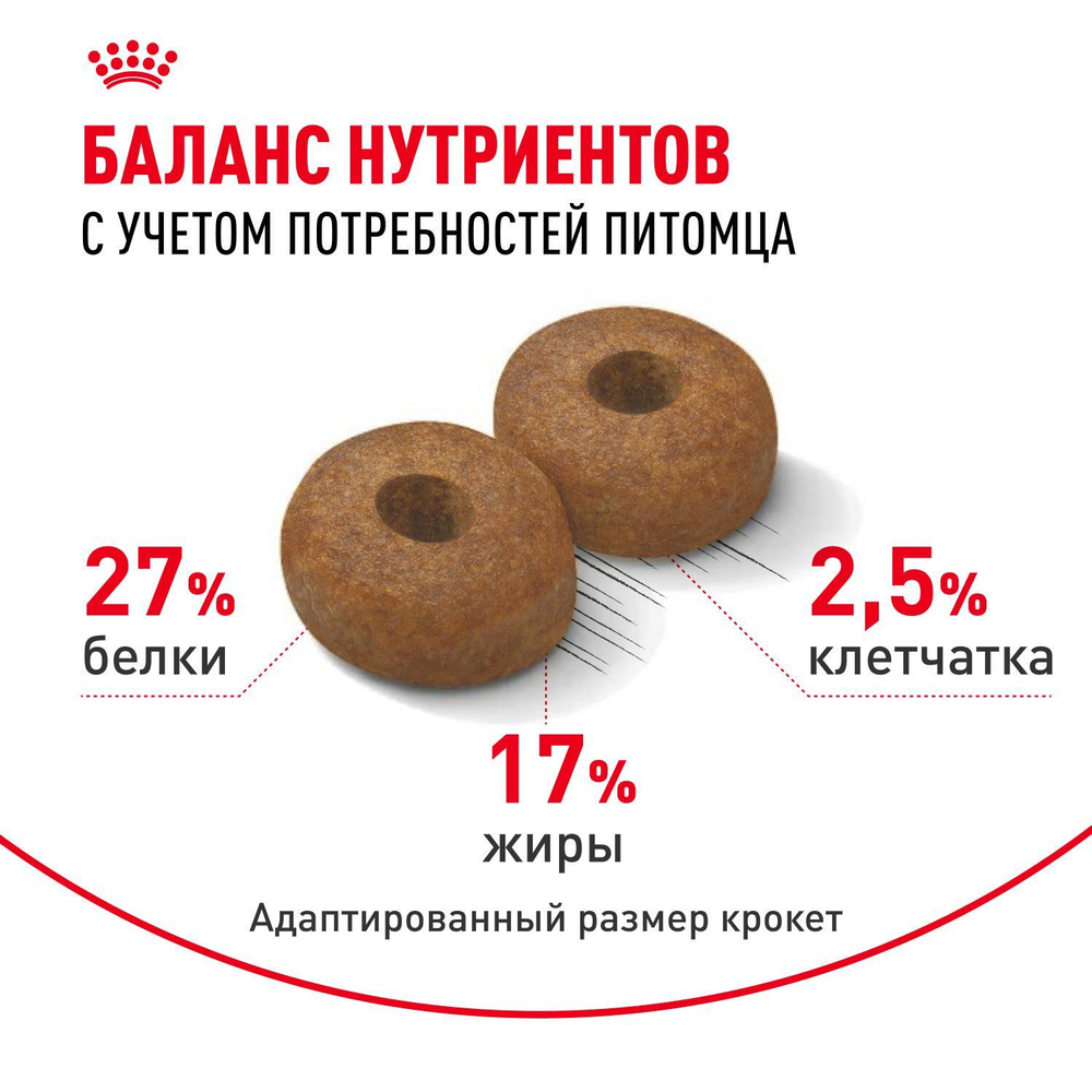 Royal Canin Maxi Ageing 8+ Корм сухой для стареющих собак крупных размеров от 8 лет и старше 15 кг