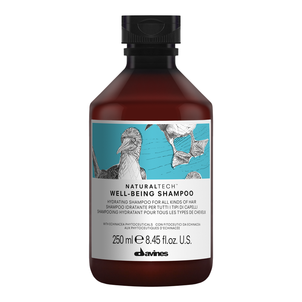 Увлажняющий шампунь DAVINES NaturalTech Well-Being Shampoo 250 мл
