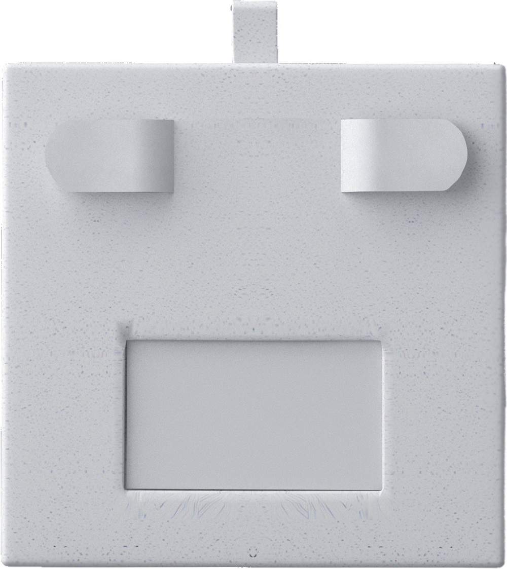 Вкладыш 04/горизонтальный/для серег/2 язычка/окошко для бирки/петелька