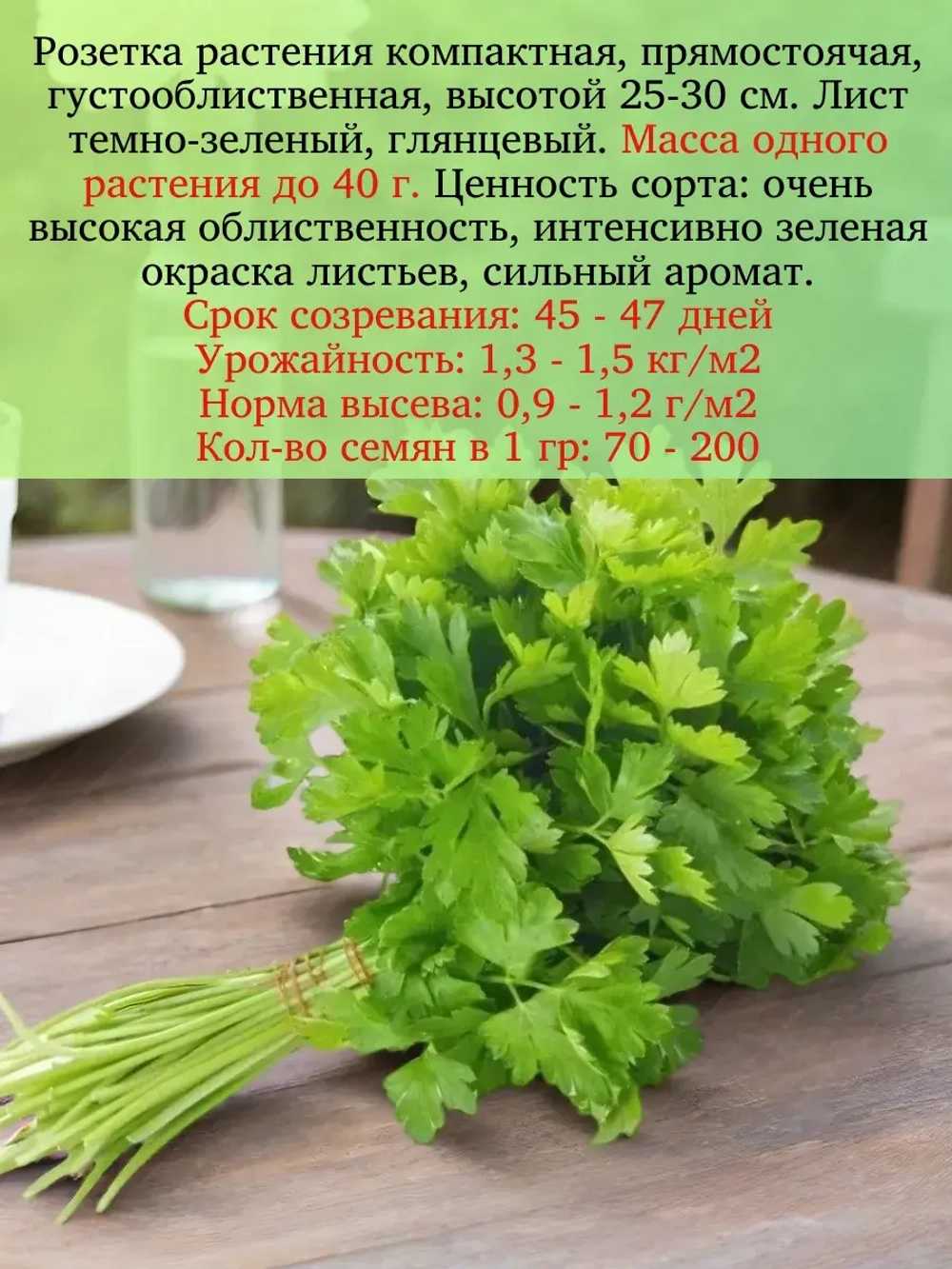 Кориандр (кинза) семена набор 3 шт