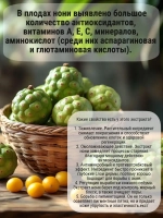 Celimax Набор миниатюр для лица The Real Noni Starter