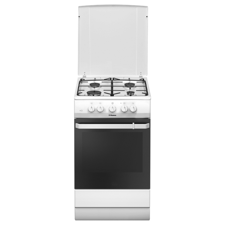 Газовая плита Hansa FCGW510009