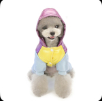 Комбинезон «Модник»