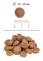 Сухой полнорационный корм Blitz Classic Large & Giant Breeds Adult Dog для собак крупных пород с курицей 15 кг