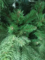 Ель узкая «Графская стройная» (Литая+пвх) от 1,5 м до 2,7 м