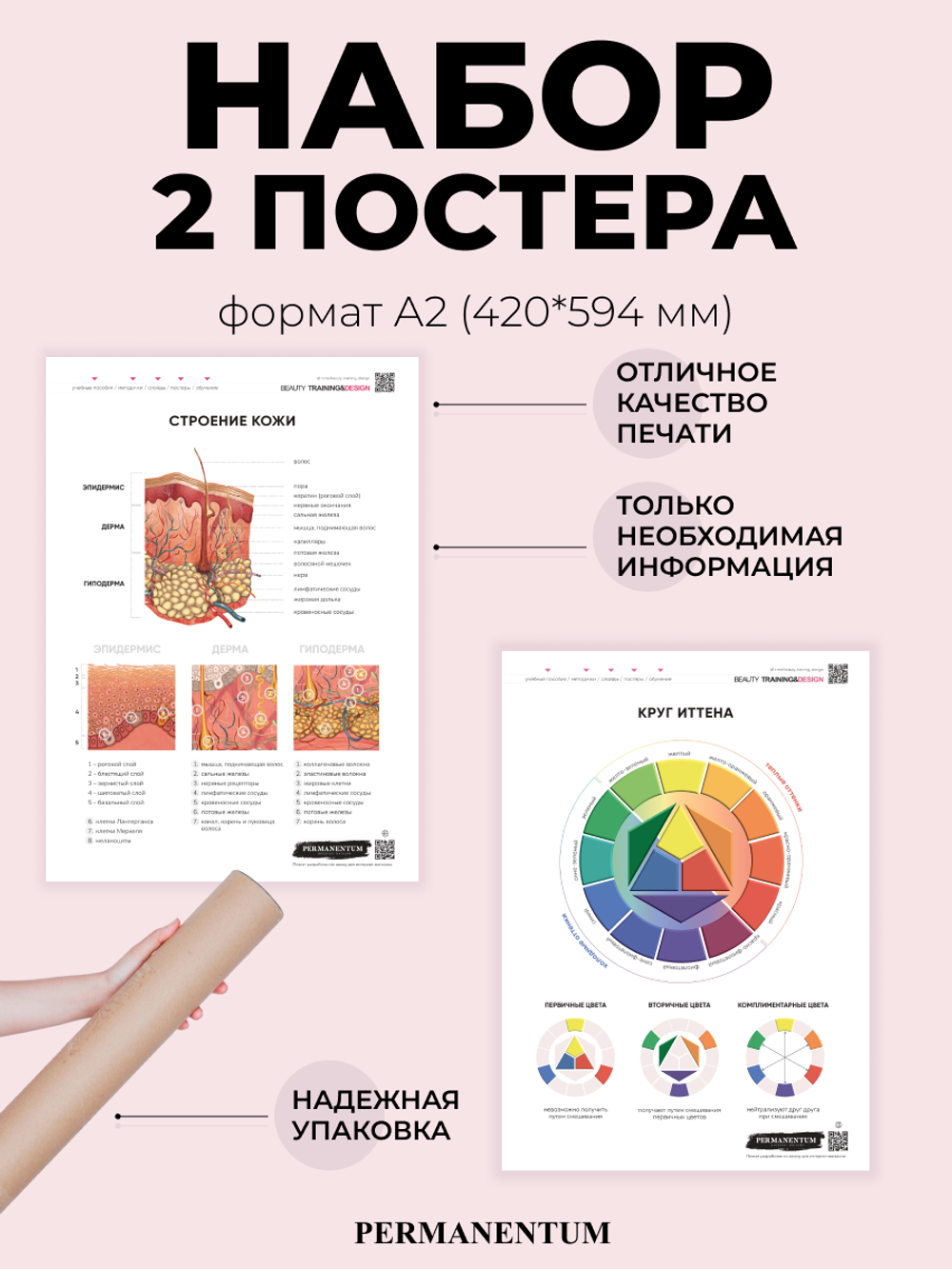 Набор постеров 2 шт. Строение кожи + цветовой круг