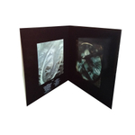 Led Zeppelin / Remasters (3LP)
