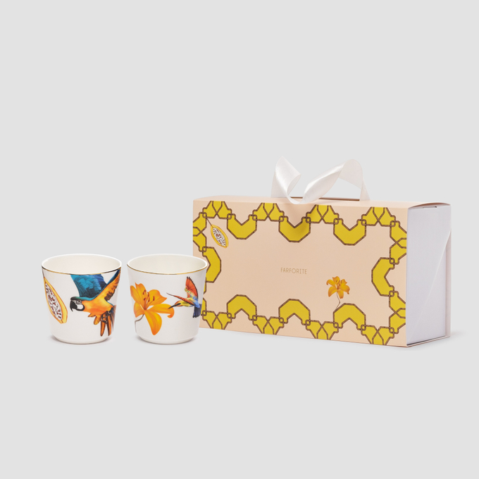 Набор из 2 кофейных стаканов Farforite «Амазония» 200 мл в подарочной коробке