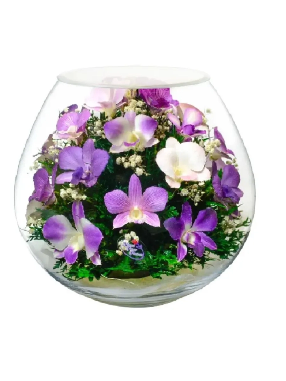 натуральные цветы в стекле, вакуум