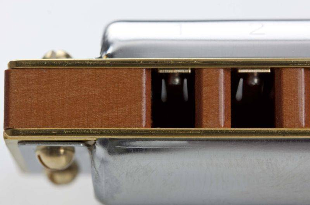 HOHNER MARINE BAND DELUX 2005/20 C