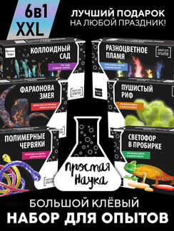 Набор опытов и экспериментов для детей 6 в 1