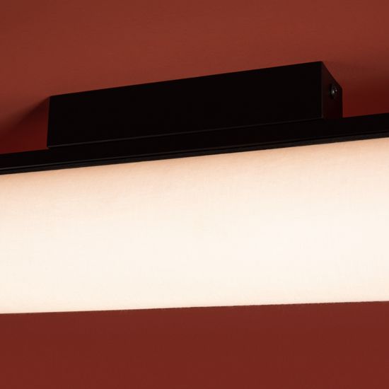 Потолочный светильник Freya FR5625CL-L20B