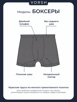 Vorsh Трусы 15-К-201-1